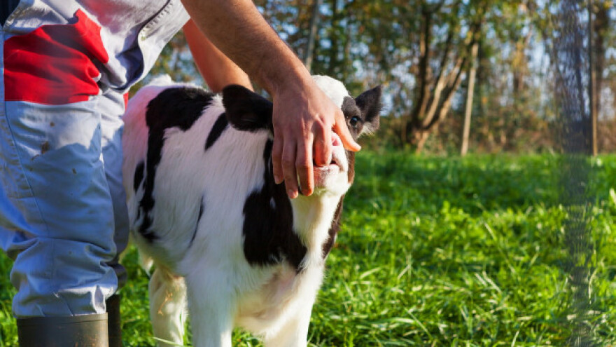 Svaki 9. stanovnik svijeta ide spavati gladan