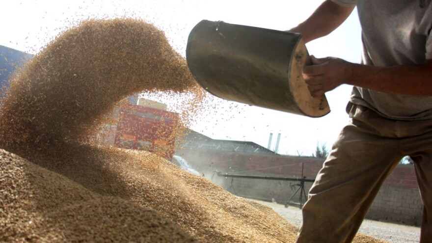 Glad i dalje pogađa preko 100 milijuna ljudi širom svijeta