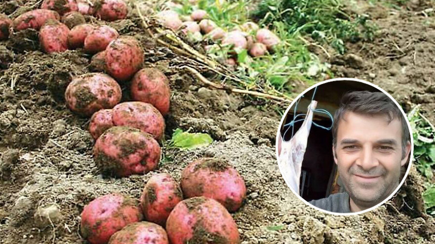 Nedžad Kovačević: Glamočki eko krompir bolji nego ikad