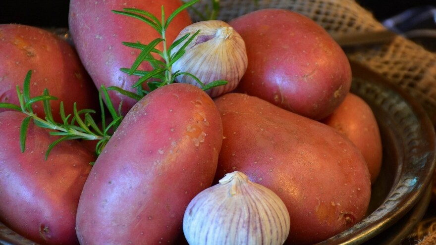 Nagrada od 200 KM za najteži krompir i najukusniju pitu na 11. Danima glamočkog krompira