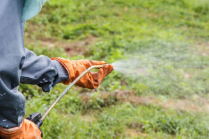 Izostala podrška produženju dozvole za glifosat
