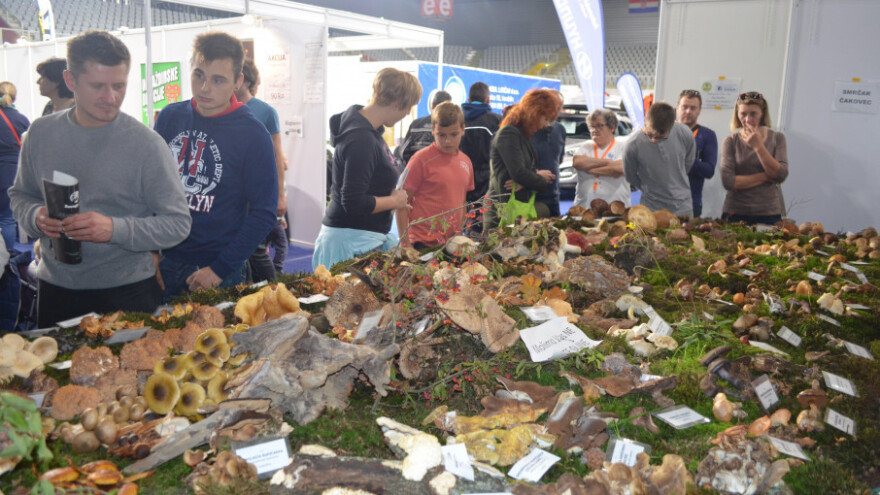 Stotinu gljiva na stotinu načina!