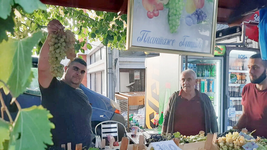 Vinova loza kod Glišića sorte afus ali dala grozd od skoro četiri kilograma