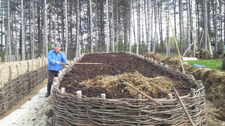 Rastvor glistenjaka i vode iz Surdulice, sprečava pojavu čak i kruškine buve