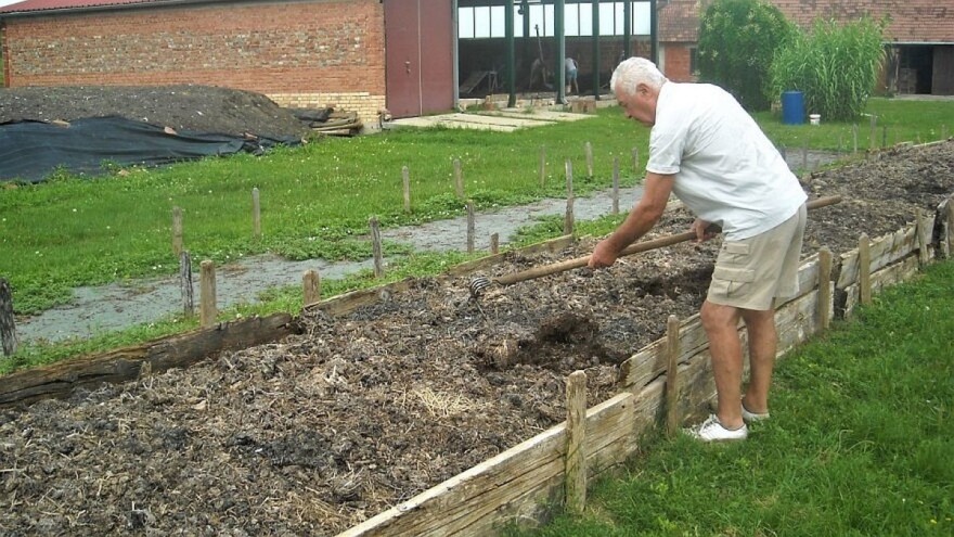 Glistenjak može imati svako, ali kako?