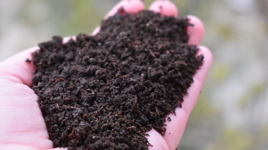 Kako koristiti glistenjak - humus kalifornijskih glista