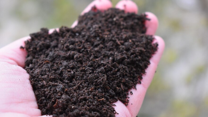 Napravite kvalitetno organsko đubrivo pomoću kalifornijskih glista