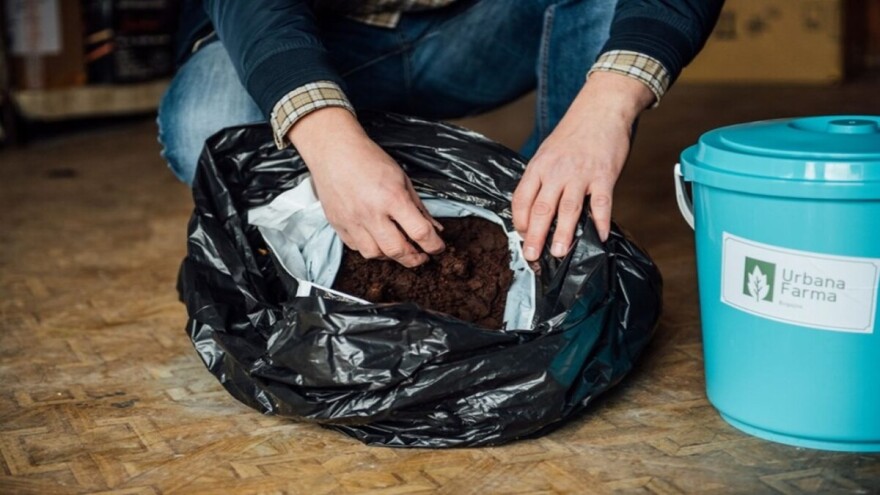 Inovativni supstrati: Bukovače možete da uzgajate i u kafi