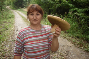 Sakupljanje gljiva na ispravan način