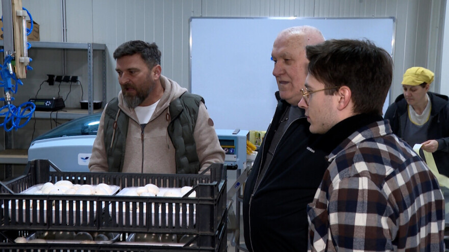 Tri generacije Tanasića proizvode gljive: Iz 14 plastenika prispije 500 tona