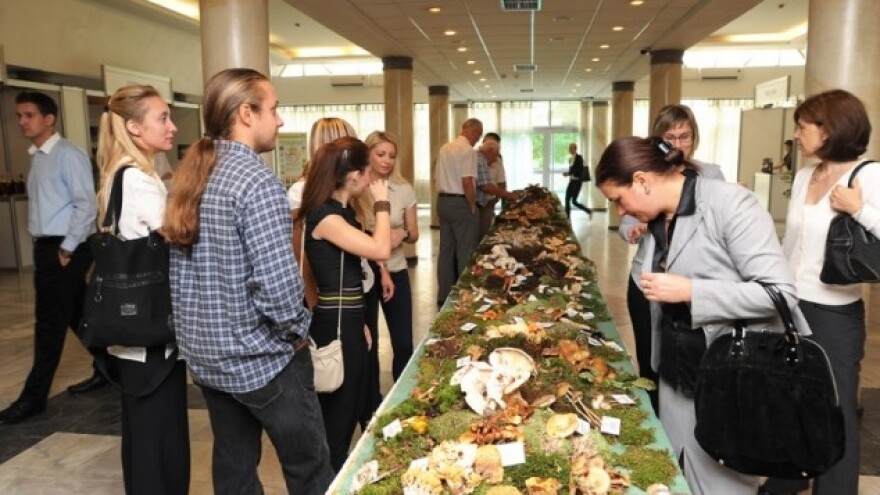 Medicinske gljive iz šume!