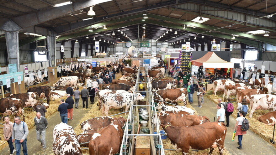 Space 2019: Mjesto susreta stočara, profesionalaca, znanosti