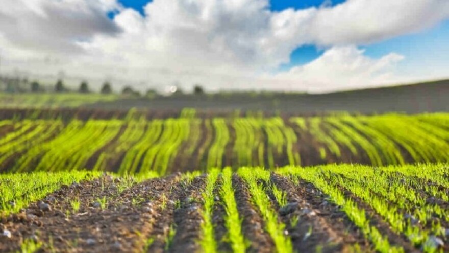 Ožujak 2016. najtopliji u posljednjih 100 godina