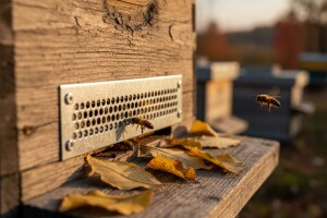 Glodari često narušavaju mir u pčelinjaku