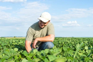 Donesena rješenja za uništavanje GMO usjeva!
