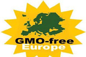 EU podijeljen oko GMO-a