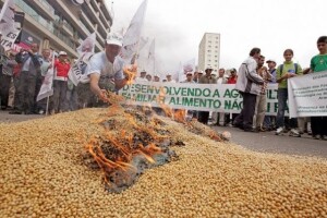 Nizozemska zabranila Monsantov pesticid