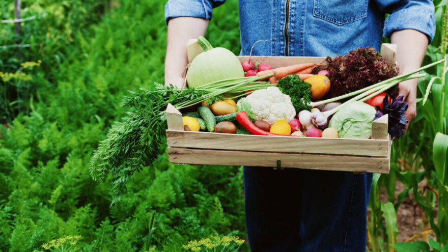 10 država EU i Švicarska imaju oznaku GMO-free