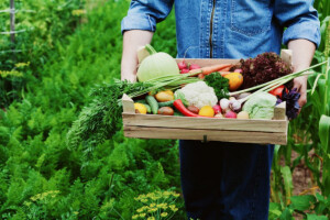 10 država EU i Švicarska imaju oznaku GMO-free