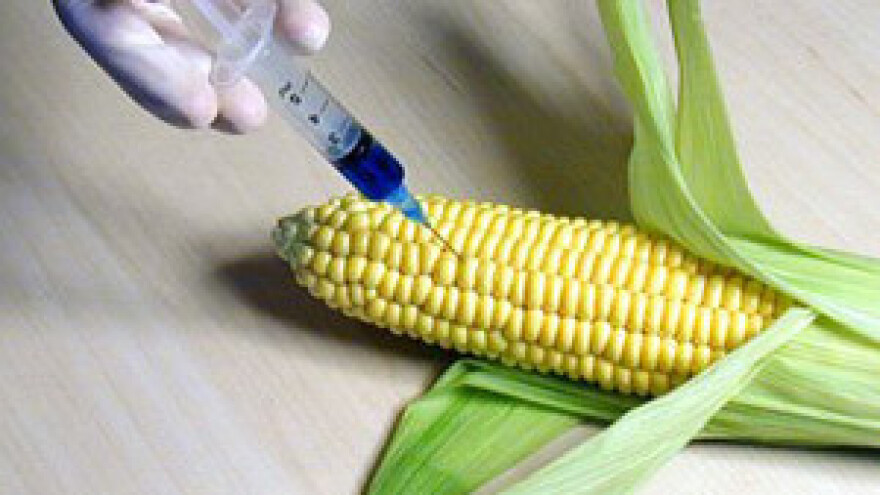 Rast tolerancije preme GMO-u