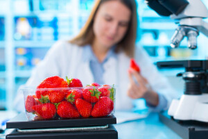 Veća kontrola hrane na prisutnost GMO