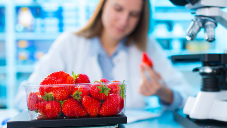 Veća kontrola hrane na prisutnost GMO