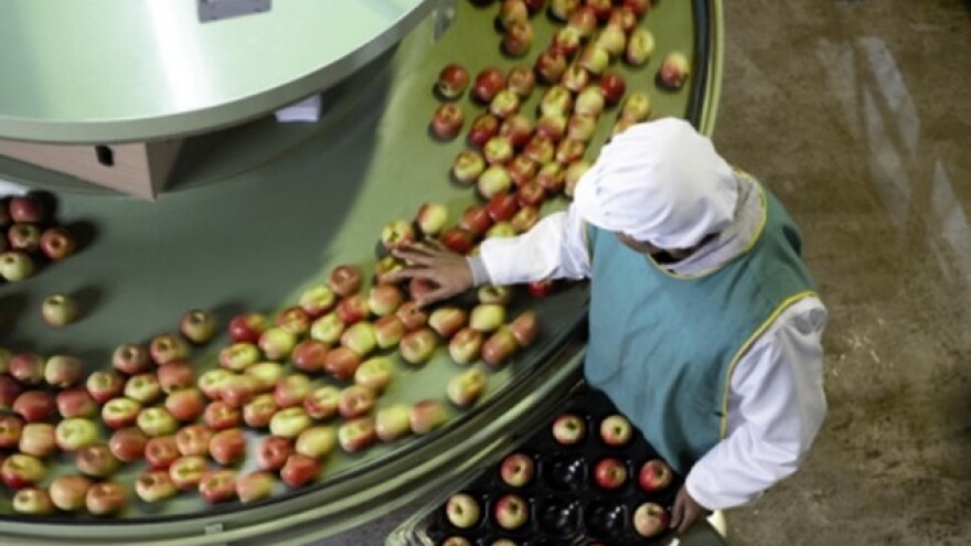 Što EU kaže o hrani sa nano-česticama i GMO-u?