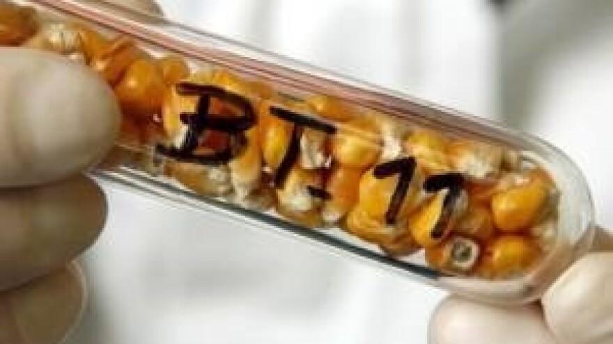 Monsanto na hrvatskom tržištu