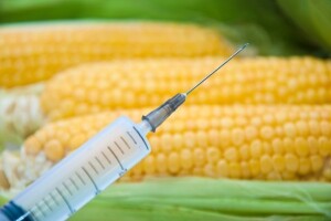 GMO ulazi pod krinkom demokracije