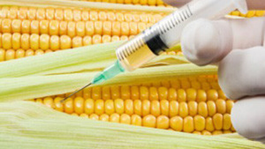 Cijene divljaju, ali to za sada neće povećati količinu GMO-a u našoj hrani