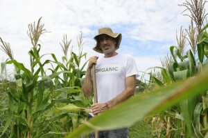Rusija rekla definitivno ne GMO-u!
