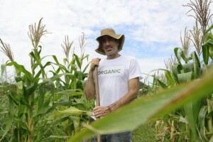 Rusija rekla definitivno ne GMO-u!