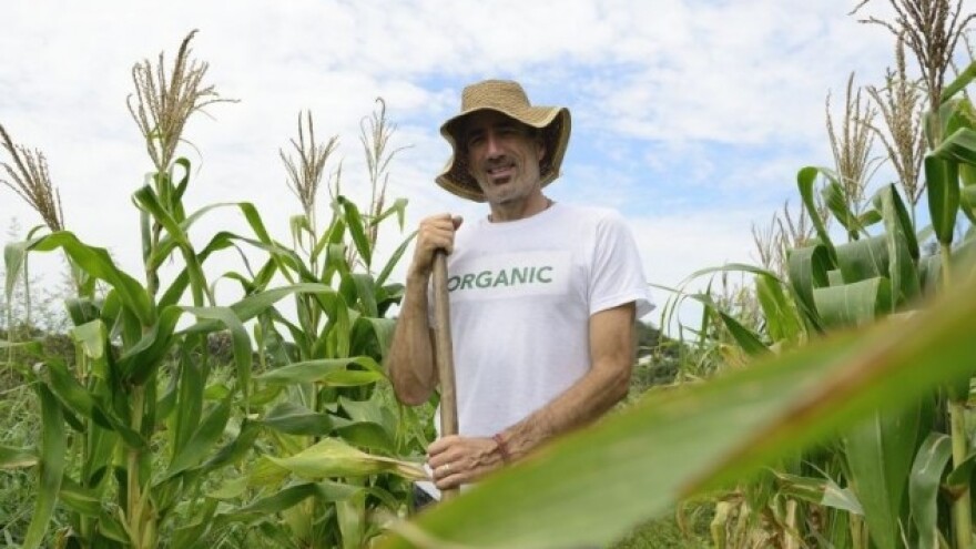 Rusija rekla konačno ne GMO-u!