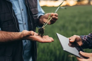 "GMO na mala vrata" i ispred BiH?