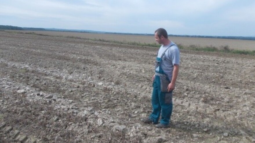 EU potvrdila da u Hrvatskoj ne smije biti GMO usjeva