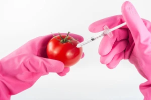 Koji su najveći izazovi borbe protiv GMO hrane?