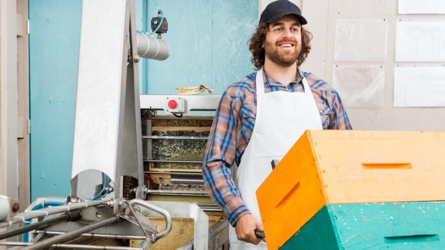 Imaju li bjelovarski pčelari GMO med?