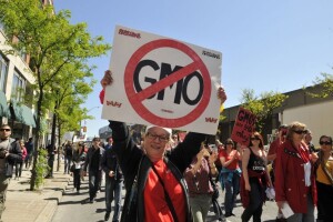 Nobelovci: Zaustavite kampanju protiv GMO-a!