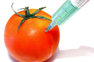 Nema GMO-a
