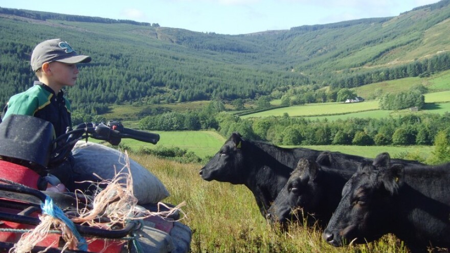 Škotska ne dopušta uzgoj GM kultura!