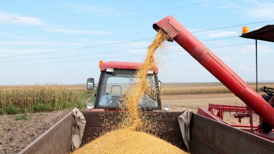 Kako GM soja uništava poljoprivredu?