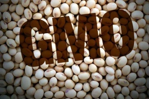 Vlada će dozvoliti promet GMO!