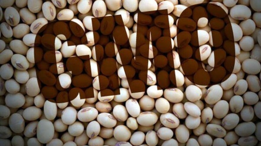 Vlada će dozvoliti promet GMO!