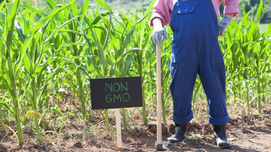 GMO u BiH samo u zatvorenim sistemima: Uskoro jasnija pravila?