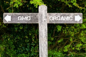 Promet GMO uslov za članstvo u STO i EU