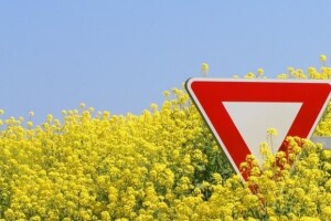 GMO je velika prijetnja