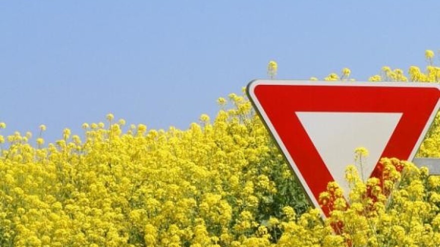 GMO je velika prijetnja