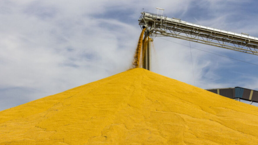 16 EU država protiv GMO