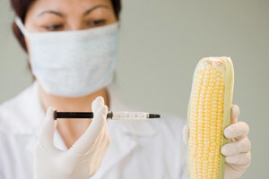 Američke prijetnje EU zbog odbijanja GMO sjemena