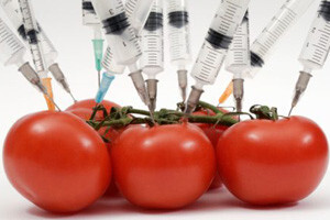 Hrvatska može profitirati od GMO zatucanosti EU-a